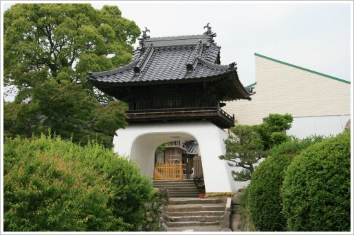 竜宮城5