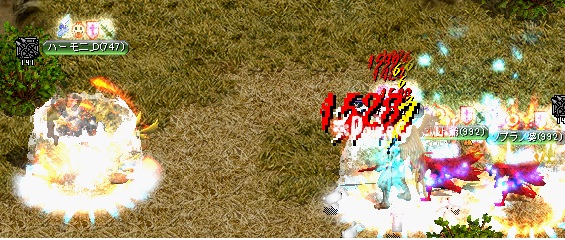 te1.jpg
