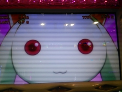 きゅうべえまだまだ