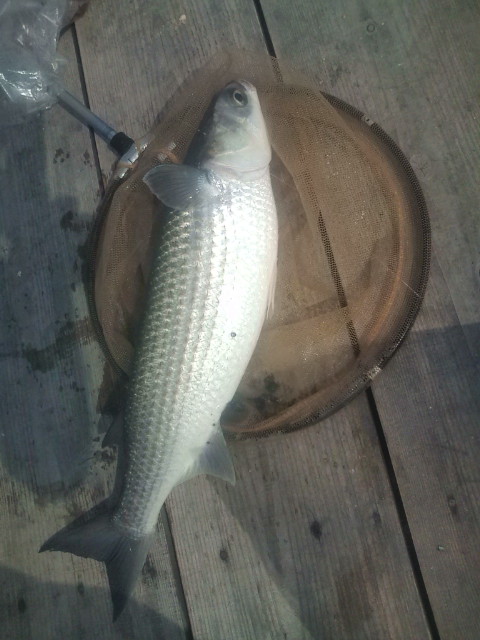 20120519144408.jpg