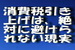 消費税率引き上げは、絶対に避けられないという現実.jpg