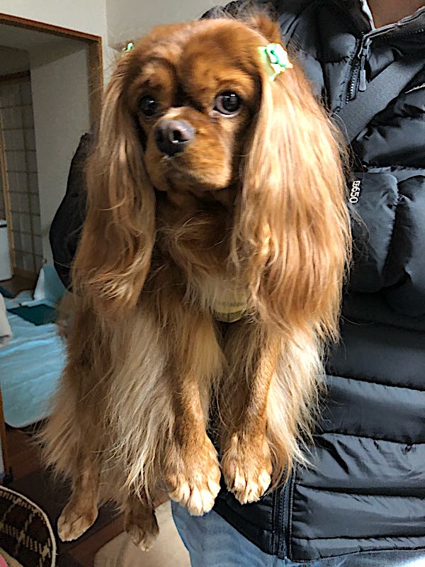 rblog-20180127212443-03.jpg