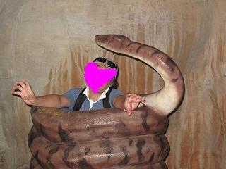 IMG_5260.jpg