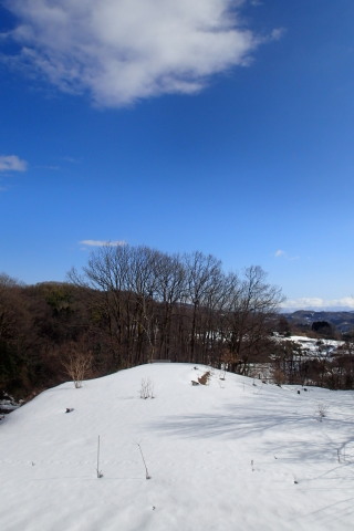 donndenn150118001