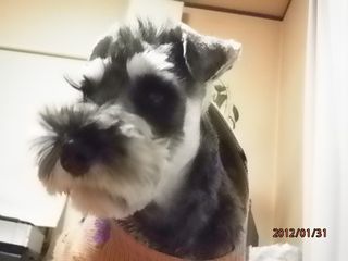 P1310011-1.jpg
