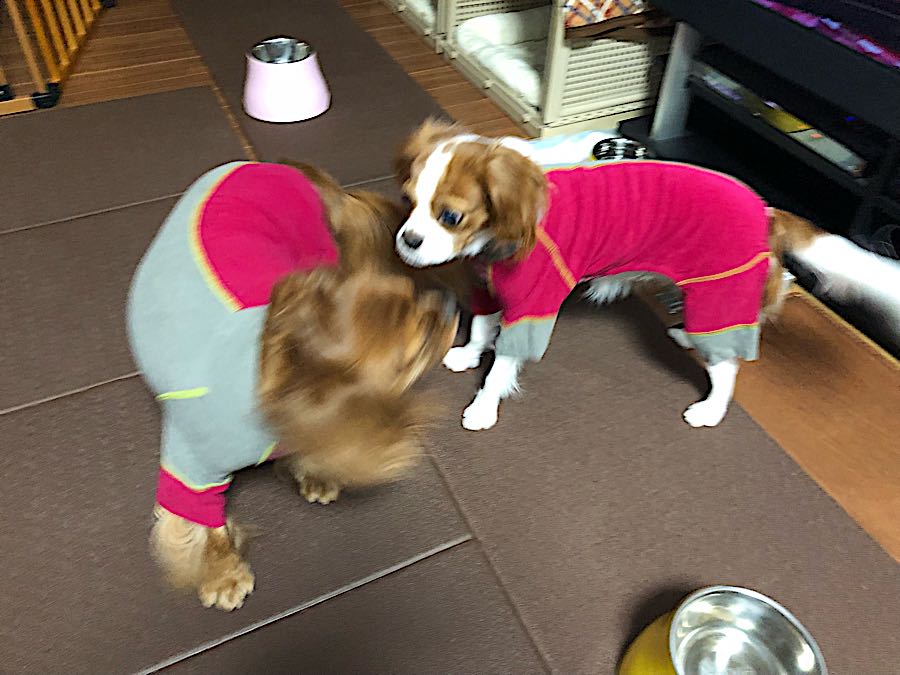 rblog-20181027212945-01.jpg