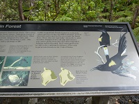 P1050953.JPG