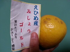 容子に頂く.jpg