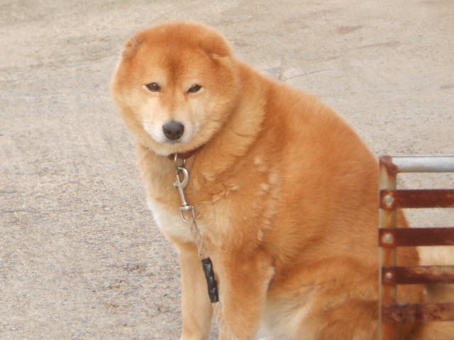 DSCN0757.JPG