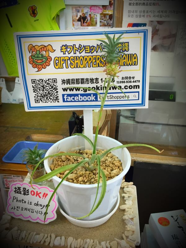 rblog-20150627155408-00.jpg