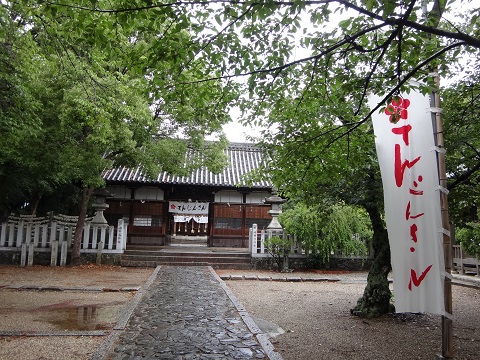 DSC09089.JPG