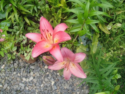 DSC02857.jpg