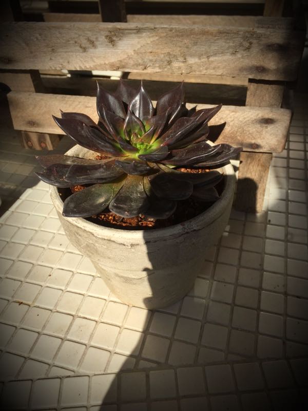 rblog-20151015101224-03.jpg