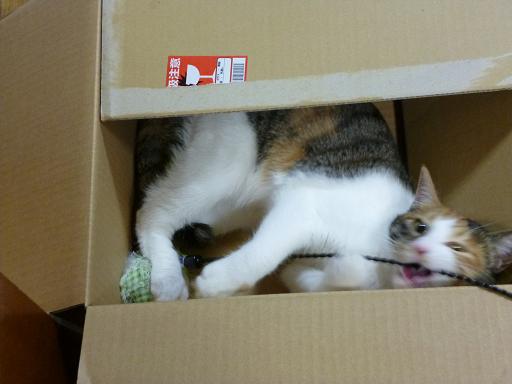 画像 2385.jpg