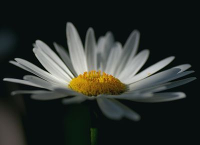 0708404.jpg