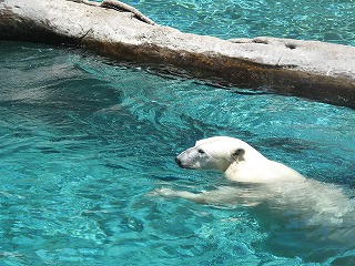 IMG_5361.jpg