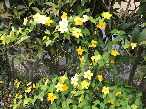 rblog-20180408181528-01.jpg