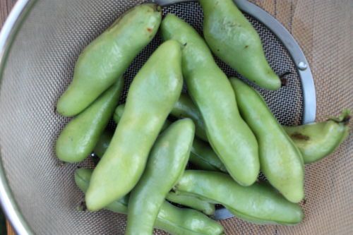 2015052902.JPG