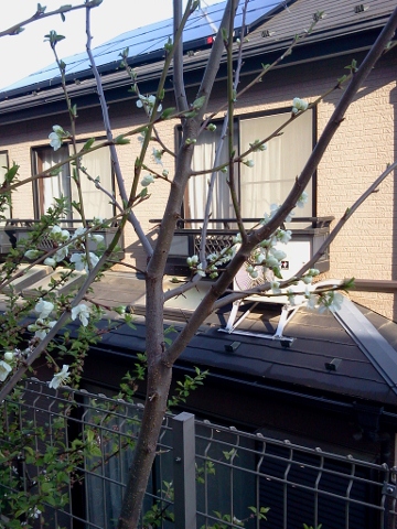 2012-04-15 07.10.03 (360x480).jpg