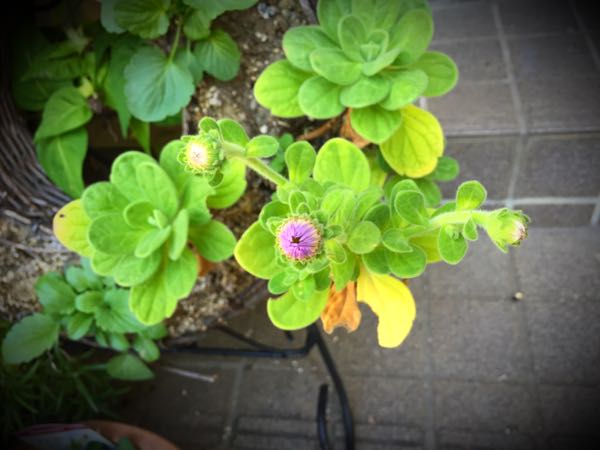 rblog-20151025172343-01.jpg