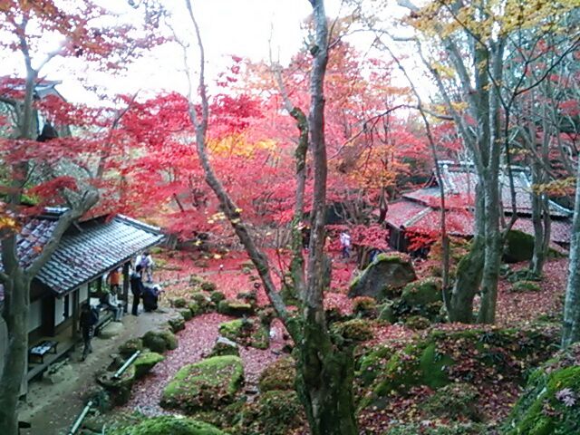 rblog-20141130210257-04.jpg