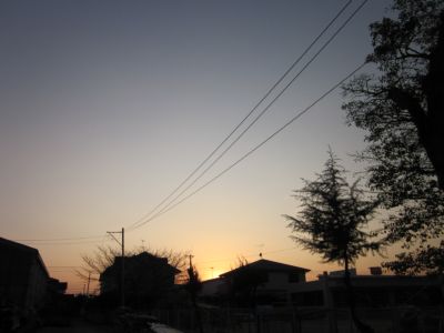 IMG_8007.JPG