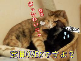 鈴あったかい.JPG