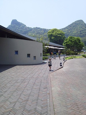 NEC_2585.jpg