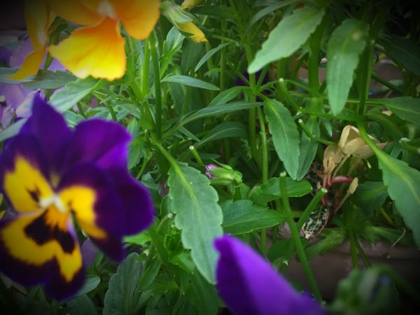 rblog-20160427183111-05.jpg