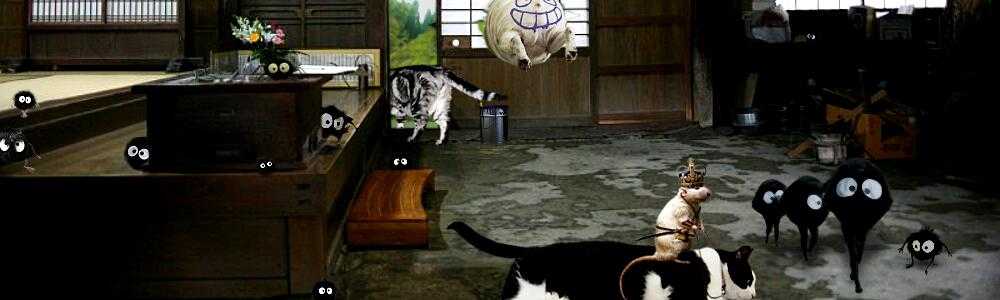 耳（ミミ）とチャッピの布団