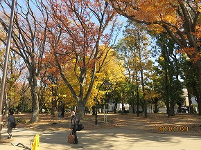 紅葉131129-697b.jpg