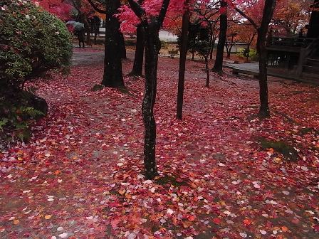 京都旅行 095 (2).jpg