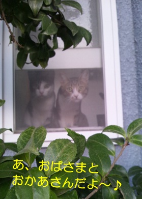 20120811_4.jpg