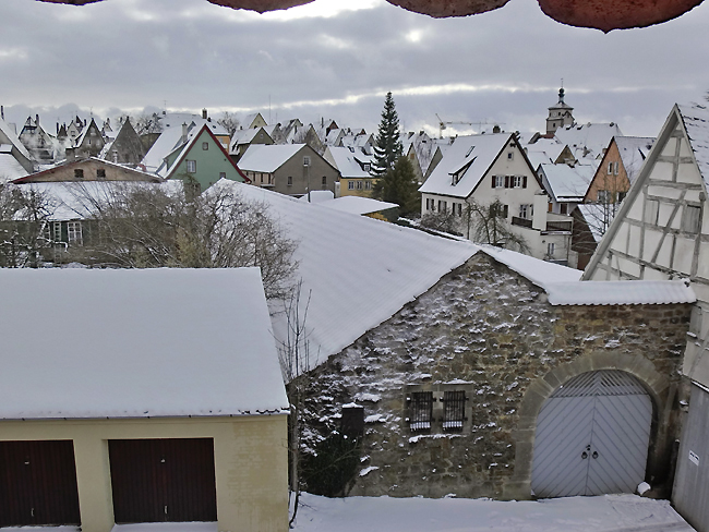 ﾛｰﾃﾝﾌﾞﾙｸ