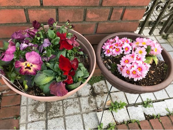 rblog-20180325184946-05.jpg