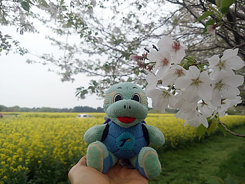 IMG_20160409_113418.jpg