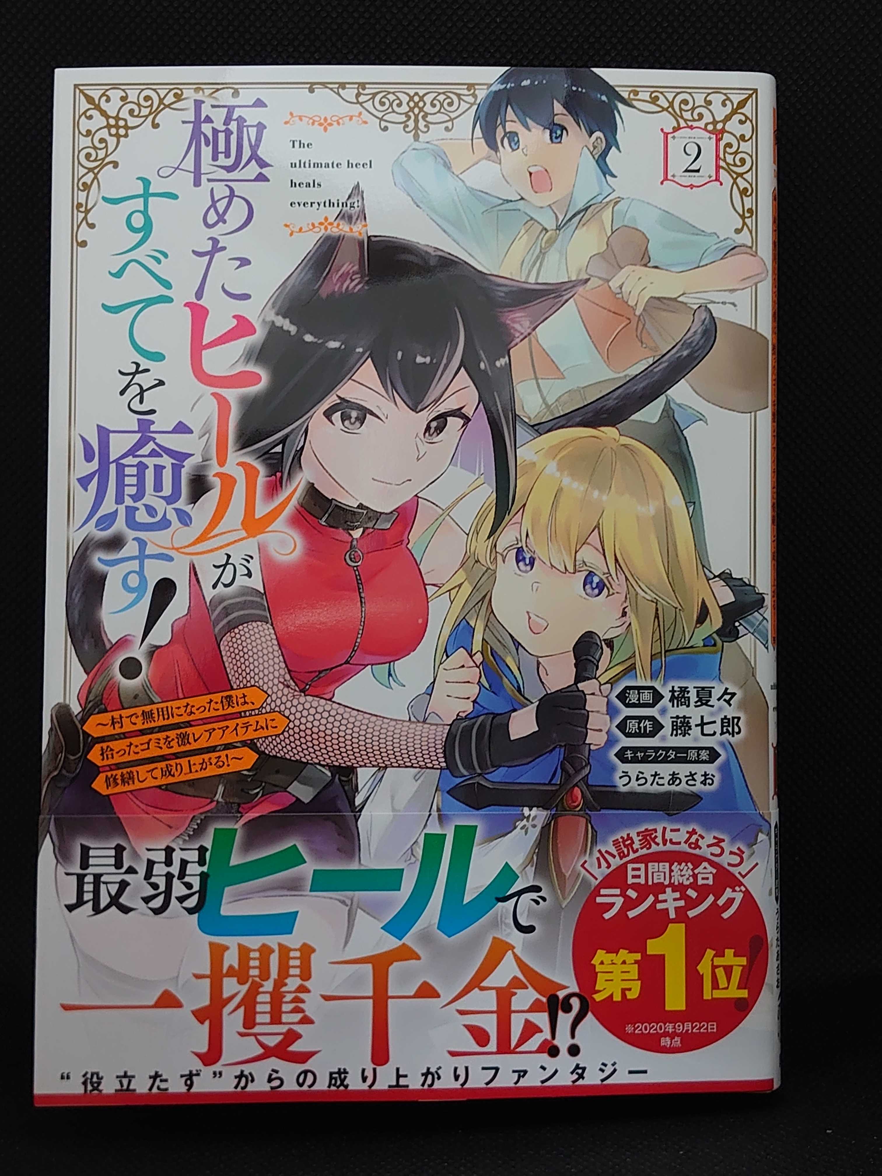 今日の１冊 ７３０日目 その４ 極めたヒールがすべてを癒す!~村