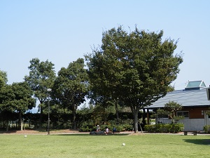 P9285322.JPG