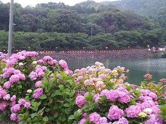P_20160619_174259.jpg