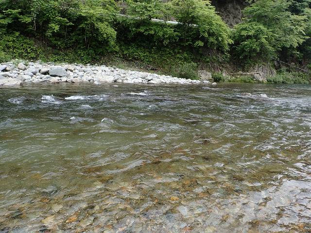 resize0046.jpg
