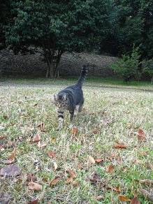 IMG_0429.JPG