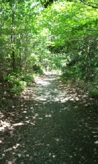 2013-05-03 14:05:01