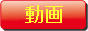 8w_XHoR6xYKTqrC.gif