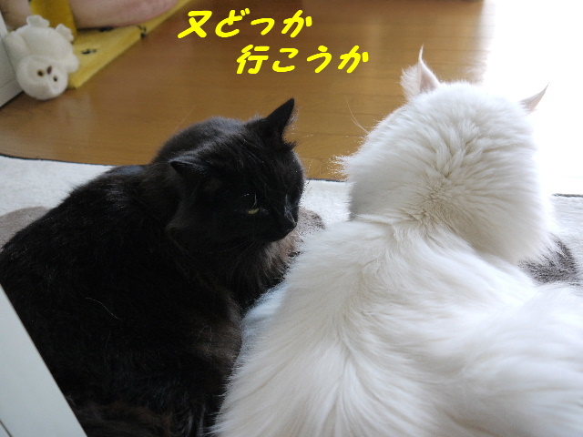 P1250748.JPG