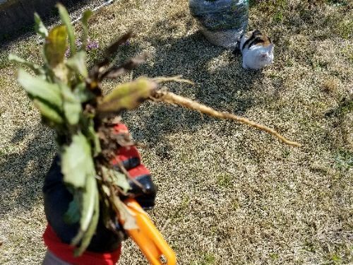 rblog-20180430124604-06.jpg