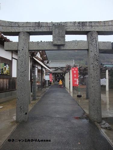DSCF4993.jpg