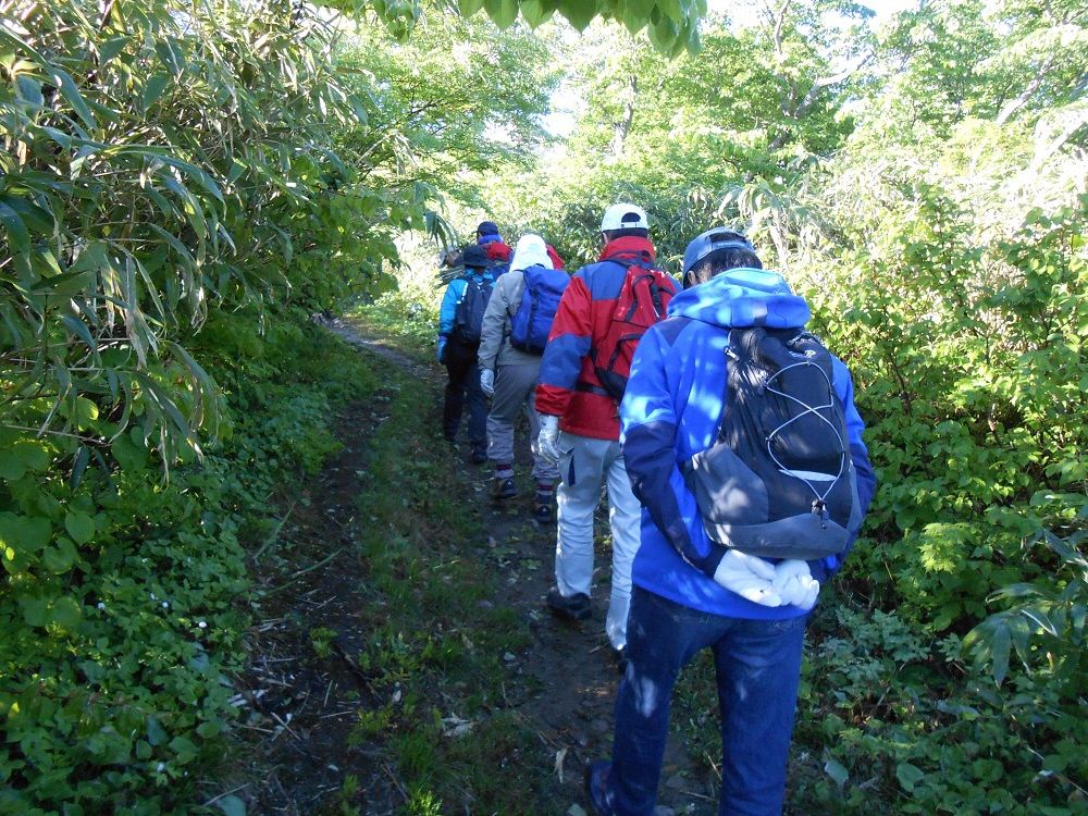 暑寒別岳清掃登山 留萌管内増毛町 北海道庁のブログ 超 旬ほっかいどう 楽天ブログ 暑寒別岳清掃登山 留萌管内増毛町 北海道庁のブログ 超 旬ほっかいどう 楽天ブログ