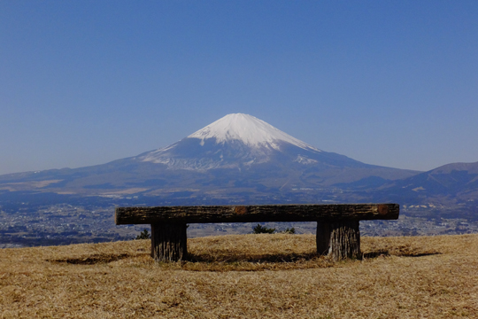 2016 02 19_1521.jpg