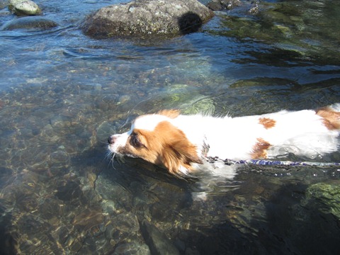2012-0826-11.jpg