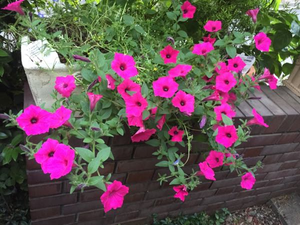 rblog-20160529204936-03.jpg